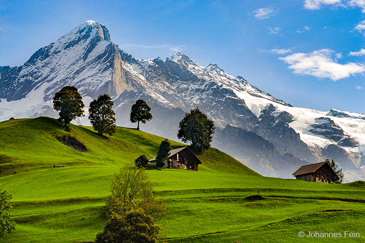 Schweiz-Grindelwald